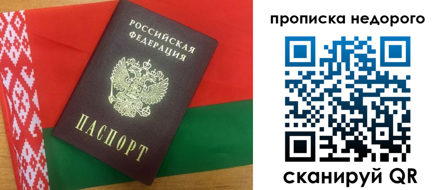 прописка гарантия в Вольске
